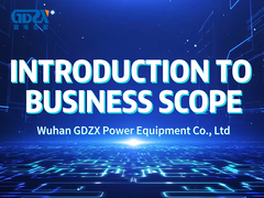 Wuhan GDZX Power Equipment Co., Ltd. Введение в сферу деятельности